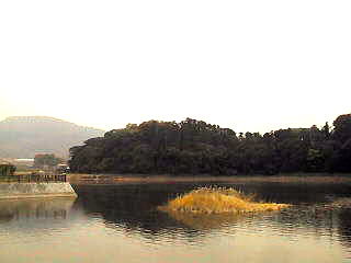 �ږ�Ă̕�ƌ����Ă���A�u����Õ��v